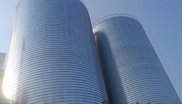 沽源2座混凝土高架卷板仓